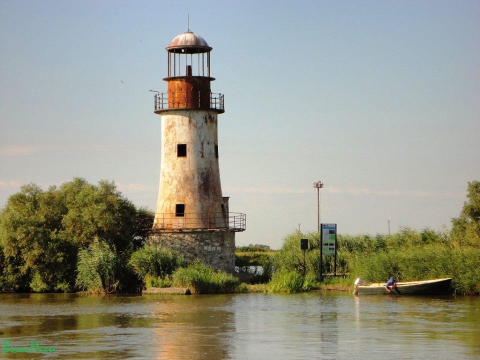 PLIMBARI IN DELTA  - 971895.jpg